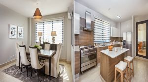 Render o imagen número  11